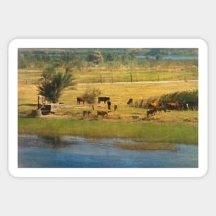 A River Nile Island With Cattle Sticker